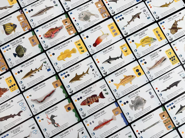 Finspan: Sharks & Reefs Expansion (In-Store Release: June 12; Shipping Release: June 26) Board Games Stonemaier Games
