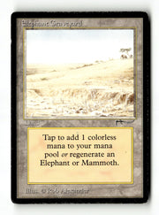 Elephant Graveyard [Arabian Nights] - Scan (KA-35) High End MTG Single Magic: The Gathering