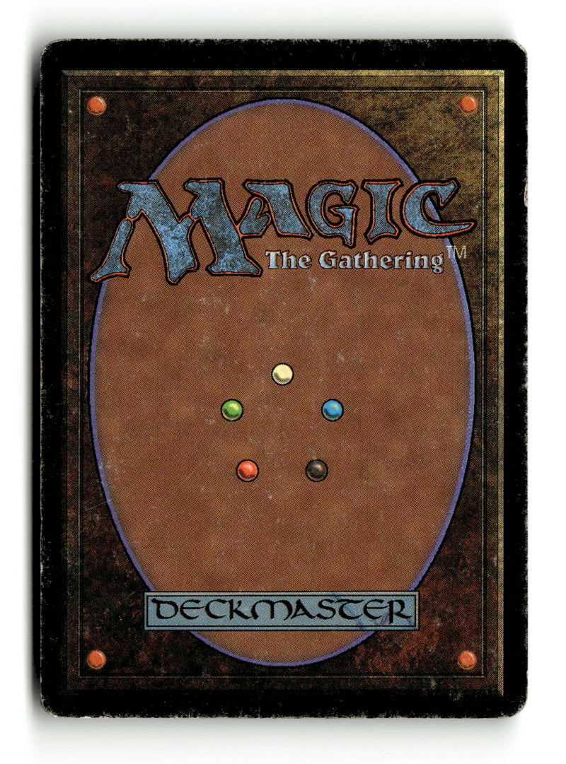 Taiga (LEB-283) [Limited Edition Beta] - Scan (KA-25) High End MTG Single Wizards of the Coast