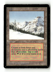 Taiga (LEB-283) [Limited Edition Beta] - Scan (KA-25) High End MTG Single Wizards of the Coast