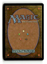 Accumulated Knowledge (NMS-026) [Nemesis] Foil (Artist Signed) - Scan (LB-162) High End MTG Single Wizards of the Coast