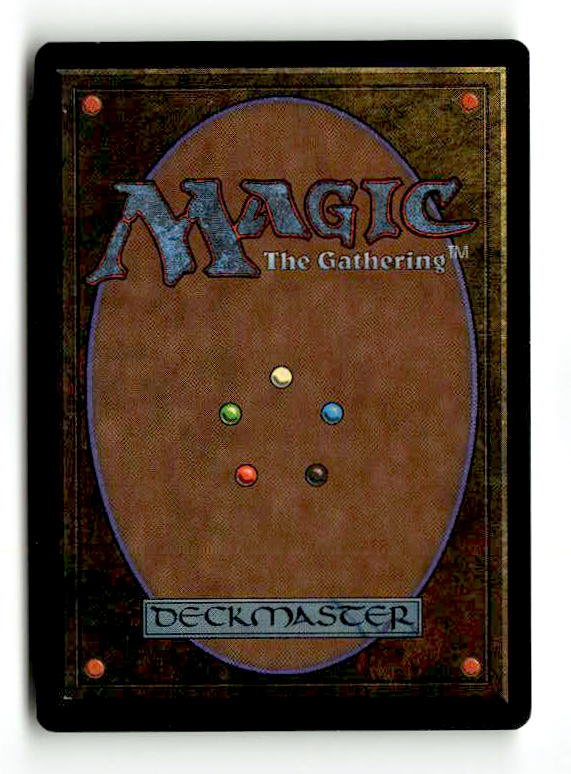 Tropical Island (2ED-284) [Oldschool] Unlimited Edition - Scan (LB-164) High End MTG Single Wizards of the Coast