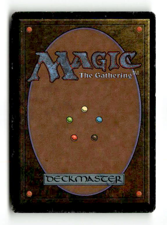 Tropical Island (2ED-284) [Oldschool] Unlimited Edition - Scan (LB-165) High End MTG Single Wizards of the Coast