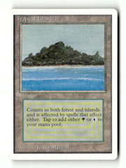 Tropical Island (2ED-284) [Oldschool] Unlimited Edition - Scan (LB-165) High End MTG Single Wizards of the Coast