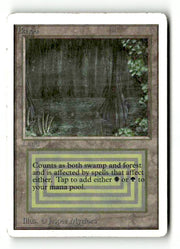 Bayou (2ED-) [Oldschool] Unlimited Edition - Scan (LB-189) High End MTG Single Wizards of the Coast