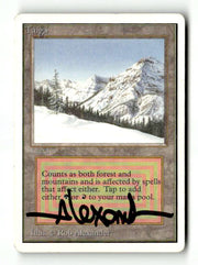 Taiga (Artist Signed) (2ED-283) [Oldschool] Unlimited Edition - Scan (LB-191) High End MTG Single Wizards of the Coast