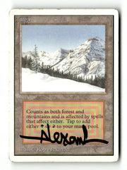 Taiga (Artist Signed) (2ED-283) [Oldschool] Unlimited Edition - Scan (LB-192) High End MTG Single Wizards of the Coast
