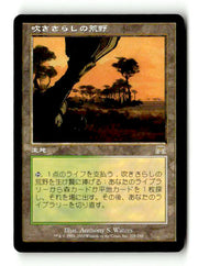 Windswept Heath (Japanese) (ONS-328) [Onslaught] - Scan (LB-210) High End MTG Single Wizards of the Coast