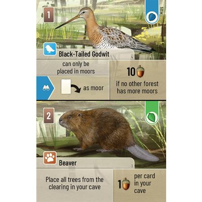 Forest Shuffle: Dartmoor Board Games Lookout Games