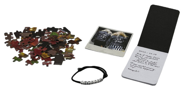 Murder Mystery Case File Puzzle: Passport to Murder Board Games University Games   