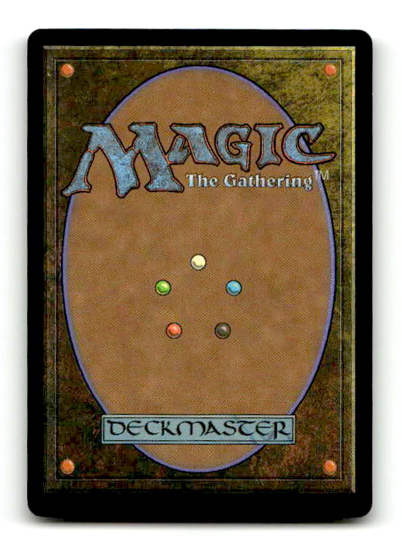 Misty Rainforest (EXP-025) [Zendikar Expeditions] Foil (TGS00434) (Scan) High End MTG Single Wizards of the Coast