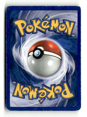Raikou (13/64) - [Vintage: Neo Revelation] Unlimited Holofoil (TGS00478) (Scan) High End Pokemon Pokémon
