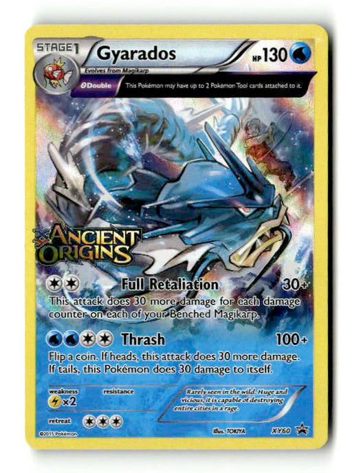 Gyarados - XY60 (Prerelease) (/211) Holofoil [Promos: XY Promos] (TGS00549) (Scan) High End Pokemon Pokémon