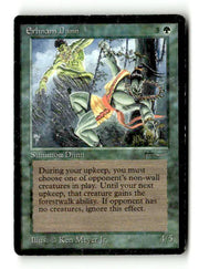Erhnam Djinn (ARN-) [Oldschool] Arabian Nights (TGS00584) (Scan) High End MTG Single Wizards of the Coast