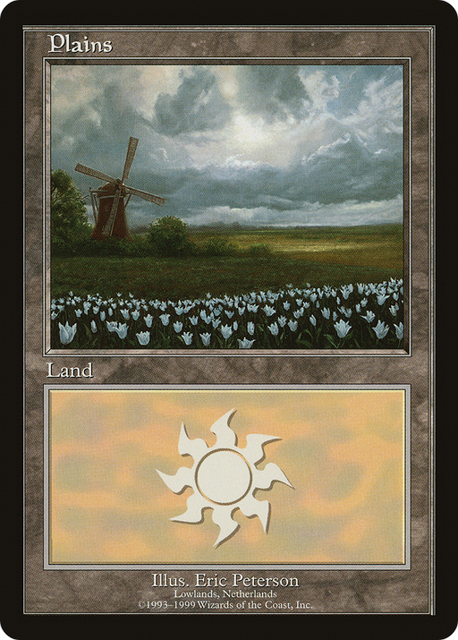Plains (EURO-009) [Misc] European Land Program MTG Single Wizards of the Coast