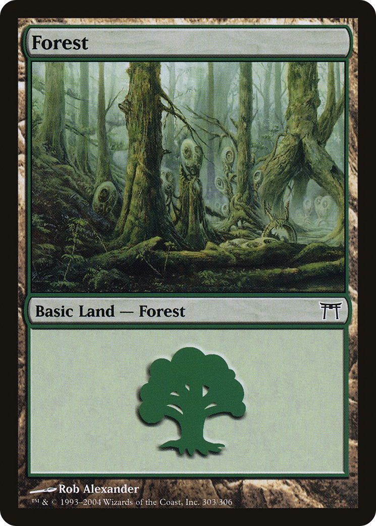 Forest (CHK-303) [Champions of Kamigawa] Foil MTG Single Wizards of the Coast