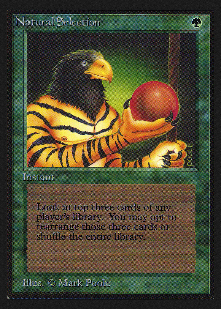 Natural Selection (IED-213) [Intl. Collectors' Edition] MTG Single Wizards of the Coast