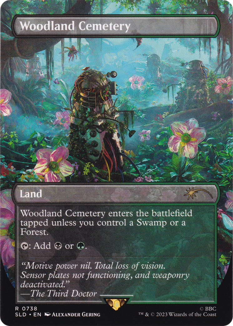 Woodland Cemetery (SLD-738) [Secret Lair] Drop (Borderless) MTG Single Wizards of the Coast