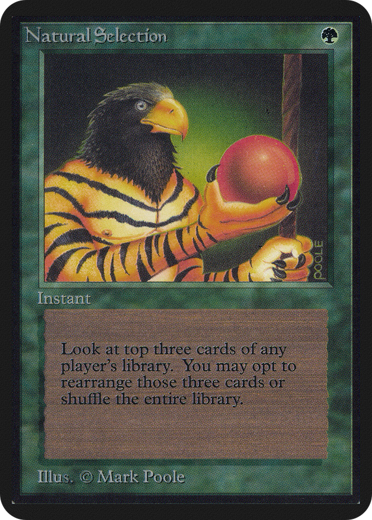 Natural Selection (LEA-212) [Oldschool] Limited Edition Alpha MTG Single Wizards of the Coast