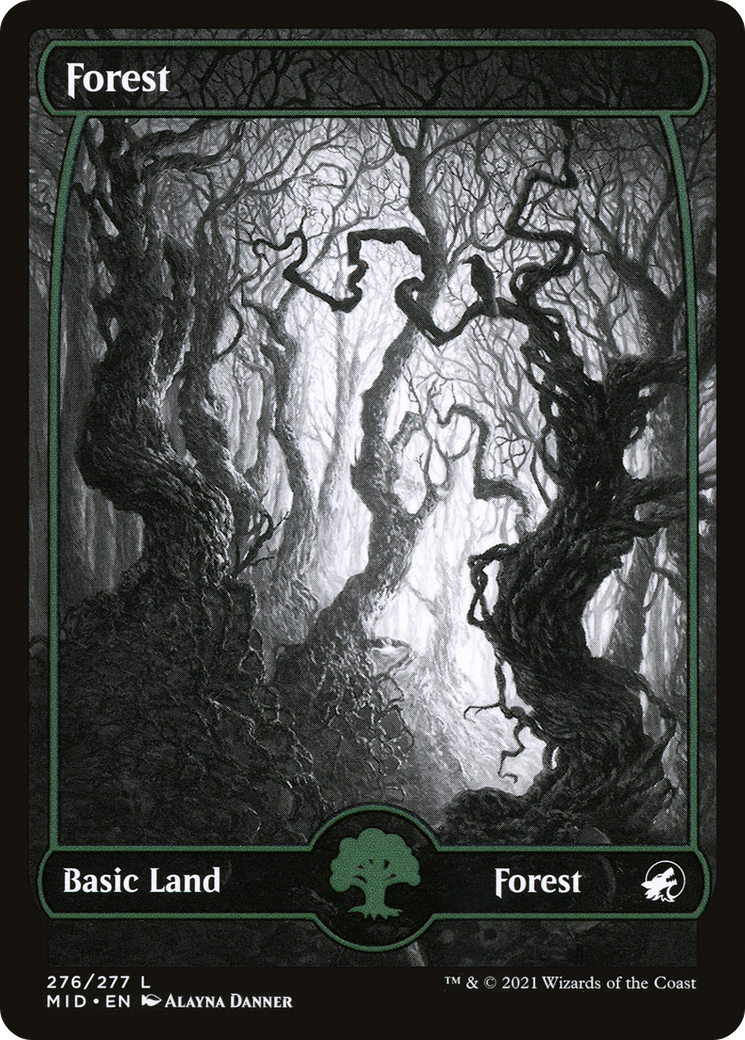 Forest (276) (MID-276) [Innistrad: Midnight Hunt] (Full Art, Showcase) MTG Single Wizards of the Coast