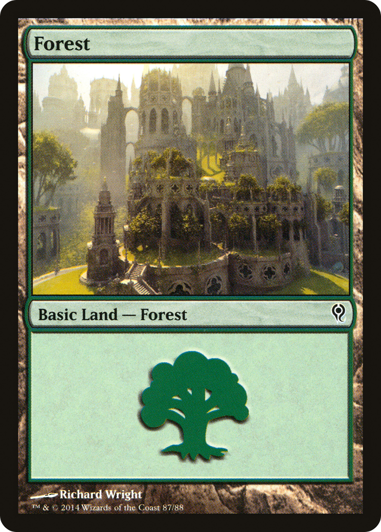 Forest (87) [Duel Decks: Jace vs. Vraska] MTG Single Magic: The Gathering   