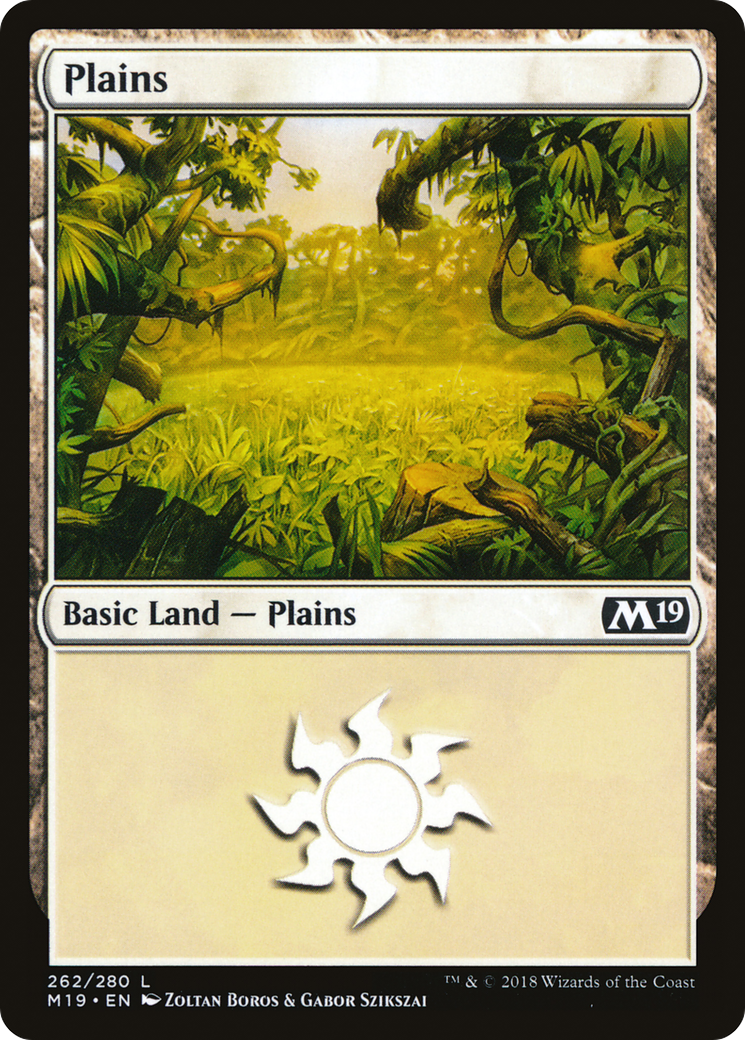 Plains (M19-262) [Core Set 2019] MTG Single Wizards of the Coast