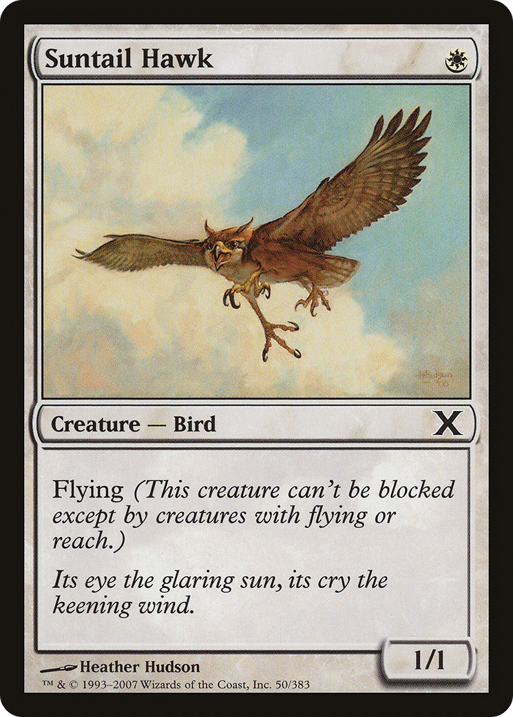 Suntail Hawk (10E-050) [Tenth Edition] MTG Single Wizards of the Coast