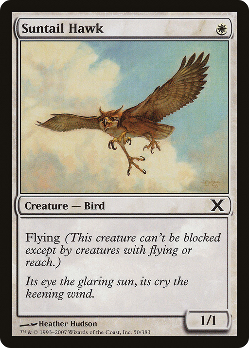 Suntail Hawk (10E-050) [Tenth Edition] MTG Single Wizards of the Coast