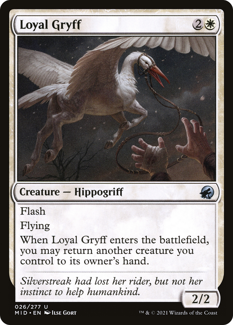 Loyal Gryff (MID-026) [Innistrad: Midnight Hunt] Foil MTG Single Wizards of the Coast
