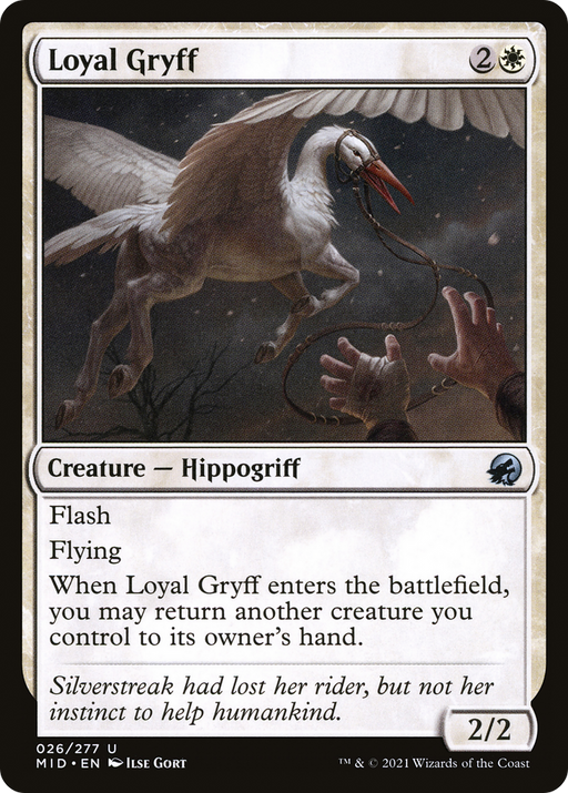 Loyal Gryff (MID-026) [Innistrad: Midnight Hunt] MTG Single Wizards of the Coast