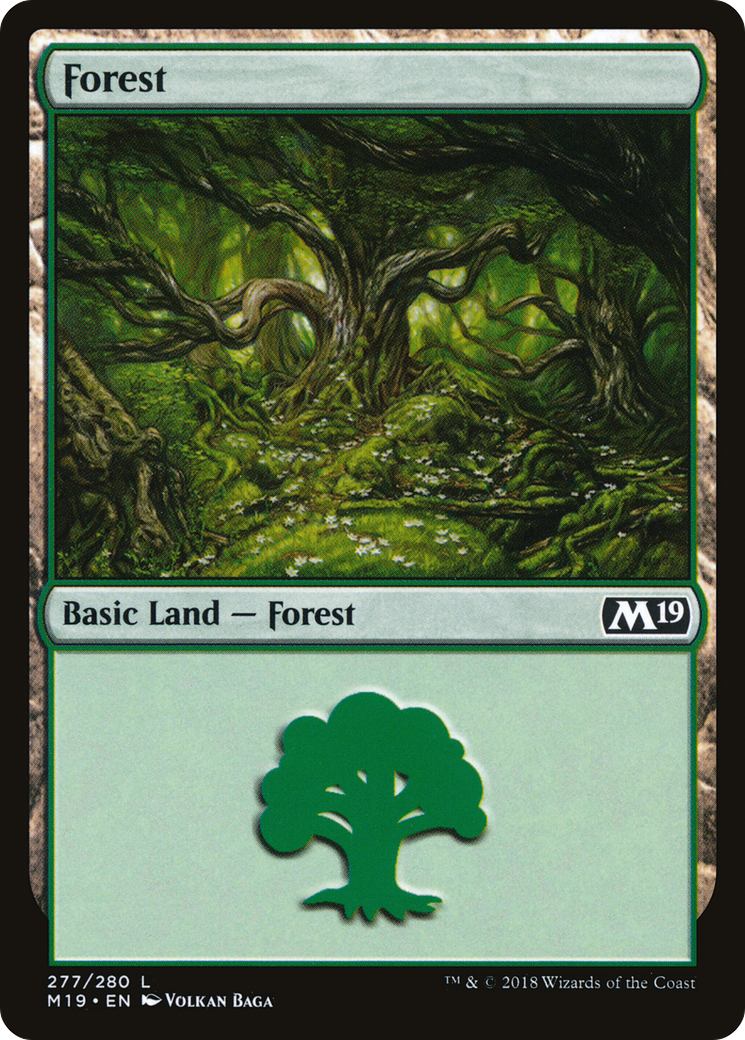 Forest (M19-277) [Core Set 2019] Foil MTG Single Wizards of the Coast