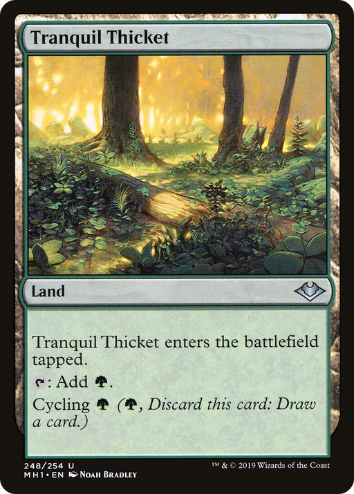 Tranquil Thicket (MH1-248) [Modern Horizons] MTG Single Modern Horizons