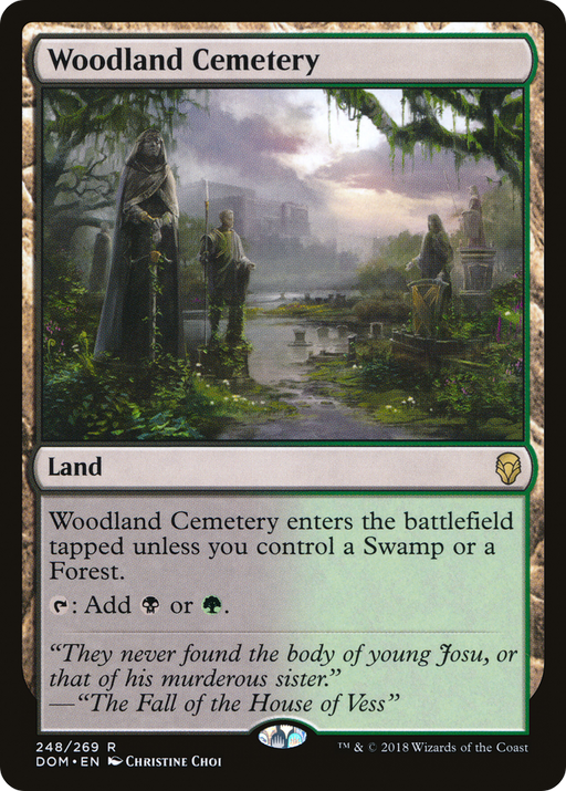 Woodland Cemetery (DOM-248) [Dominaria] MTG Single Wizards of the Coast