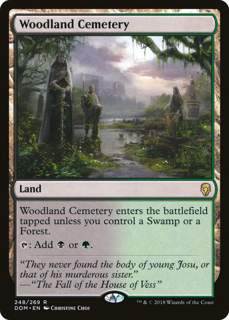 Woodland Cemetery (DOM-248) [Dominaria] Foil MTG Single Wizards of the Coast