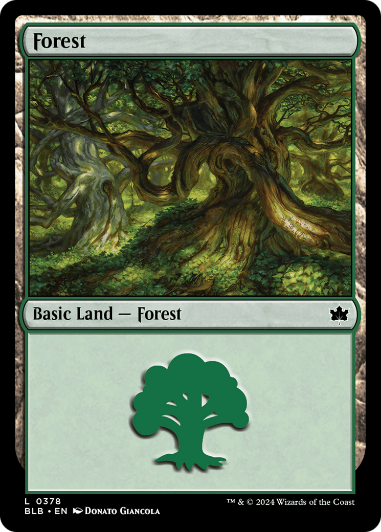 Forest (0378) (BLB-378) [Bloomburrow] Foil MTG Single Wizards of the Coast