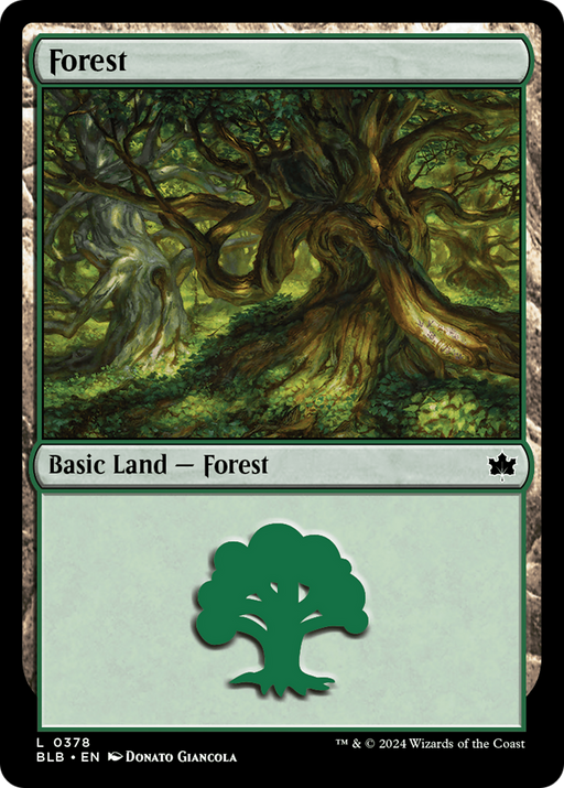 Forest (0378) (BLB-378) [Bloomburrow] Foil MTG Single Wizards of the Coast