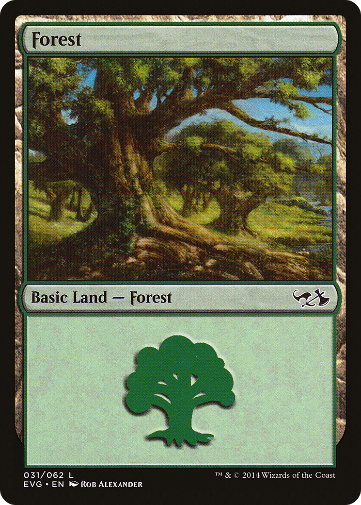 Forest (DD3-031) [Misc] Duel Decks Anthology: Elves vs. Goblins MTG Single Wizards of the Coast