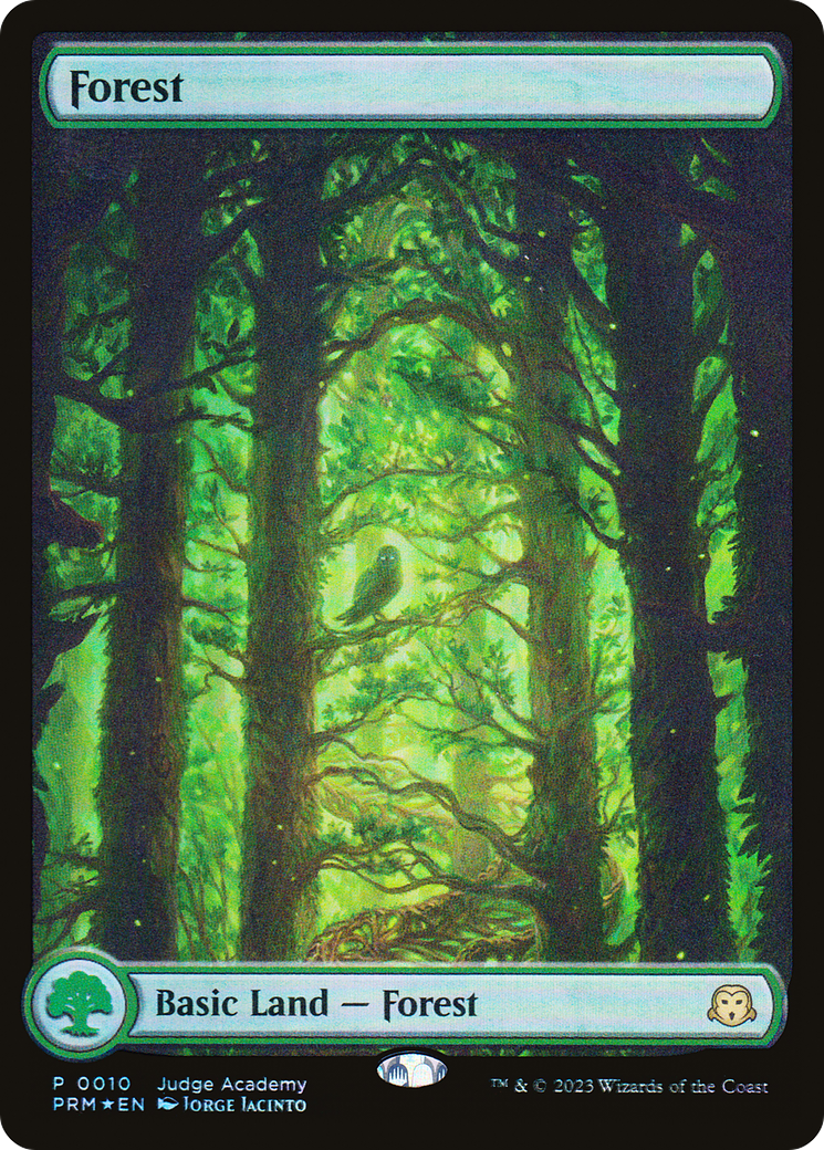 Forest (JDG-010) [Misc] Judge Gift Cards 2023 (Full Art) Foil MTG Single Wizards of the Coast
