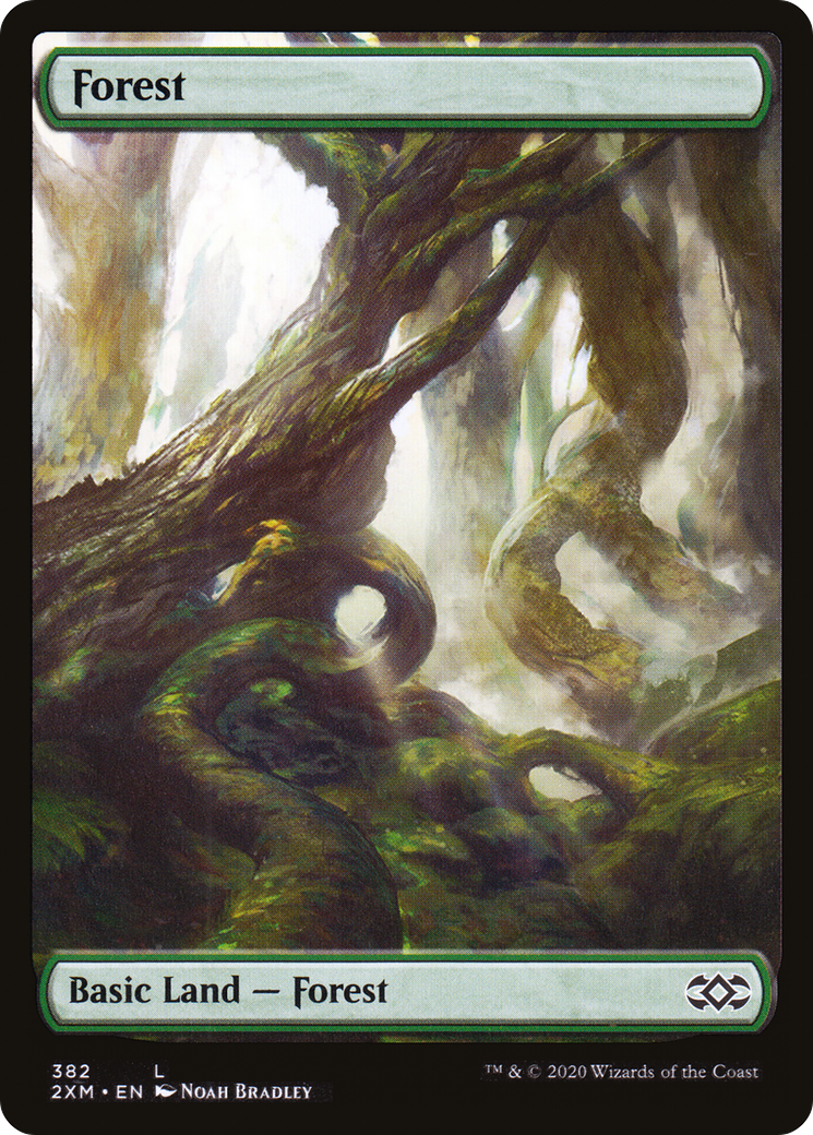 Forest (2XM-382) [Double Masters] MTG Single Wizards of the Coast