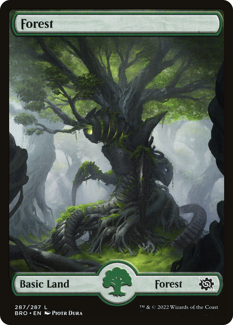 Forest (BRO-287) [The Brothers' War] MTG Single Wizards of the Coast
