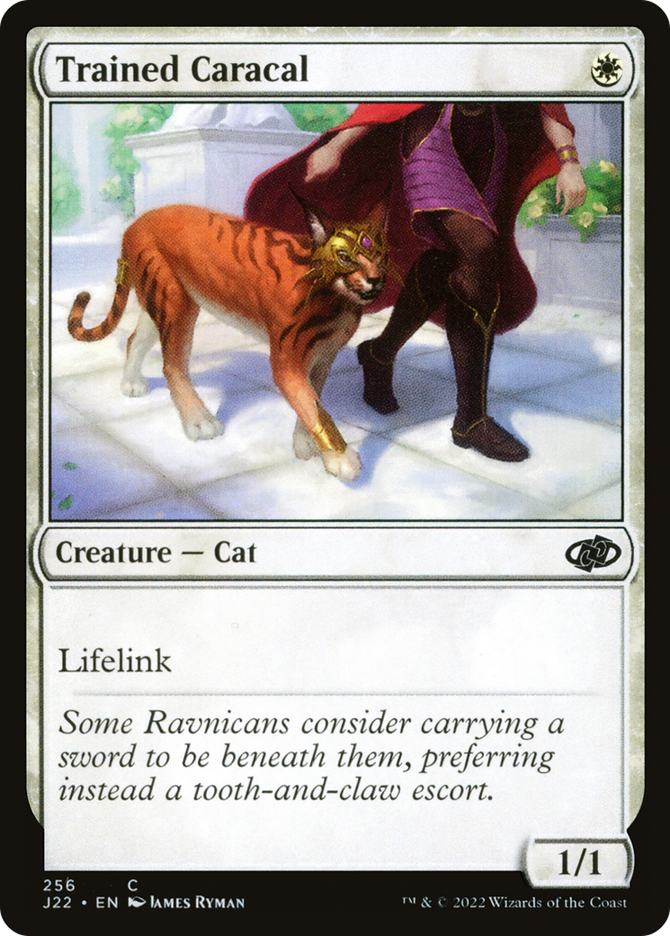 Trained Caracal (J22-256) [Jumpstart 2022] MTG Single Wizards of the Coast