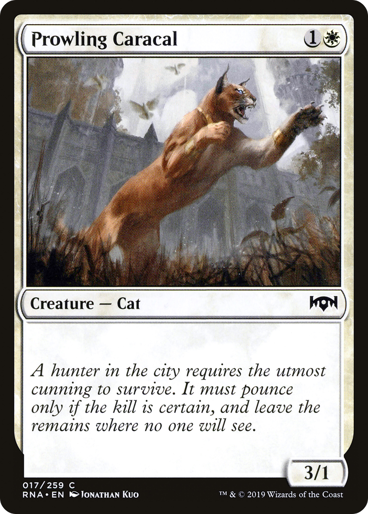 Prowling Caracal (RNA-017) [Ravnica Allegiance] MTG Single Wizards of the Coast