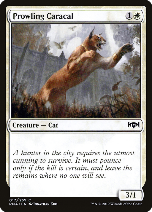 Prowling Caracal (RNA-017) [Ravnica Allegiance] MTG Single Wizards of the Coast