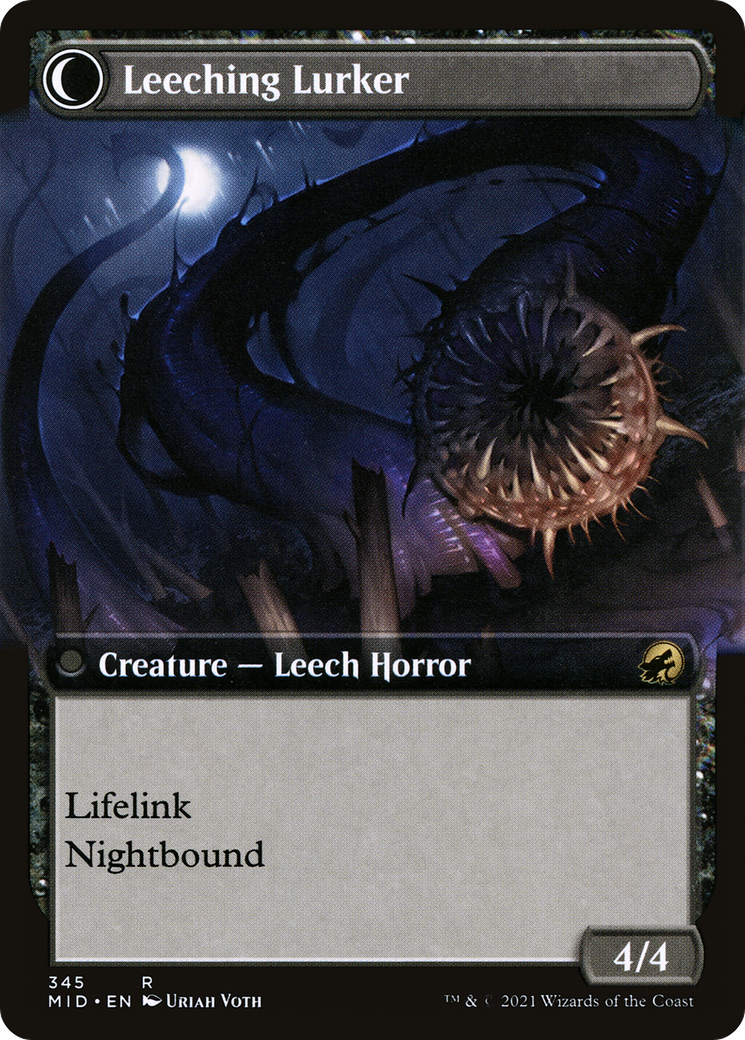 Curse of Leeches (MID-345) [Innistrad: Midnight Hunt] (Extended Art) Foil MTG Single Wizards of the Coast