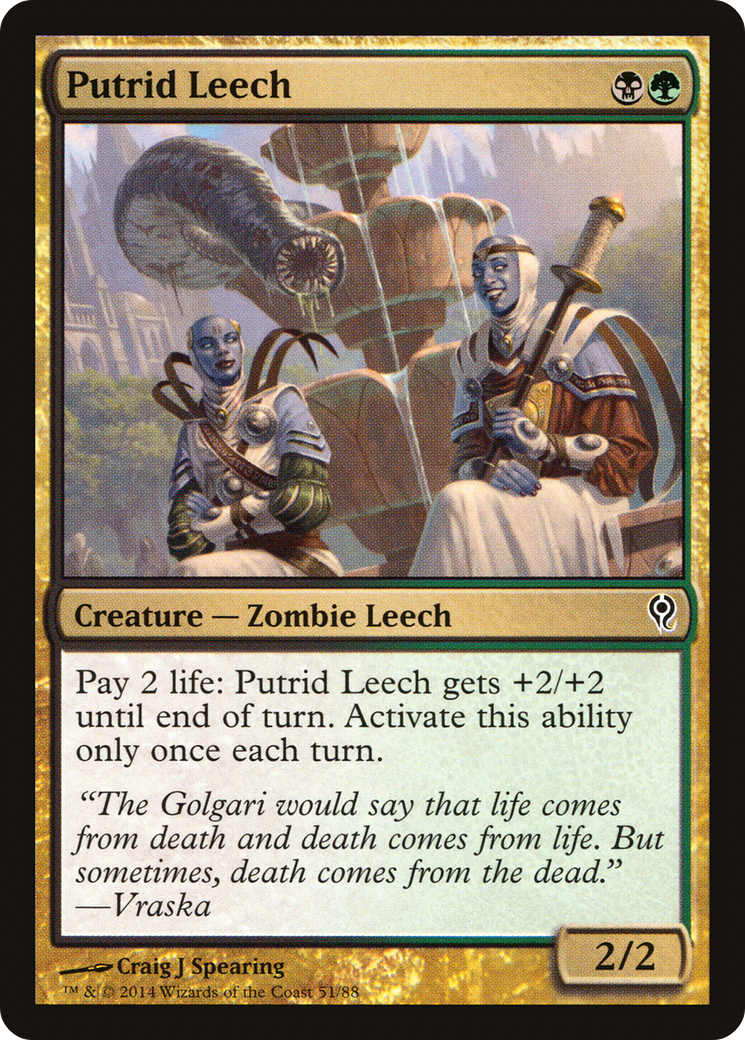 Putrid Leech (DDM-051) [Misc] Duel Decks: Jace vs. Vraska MTG Single Wizards of the Coast