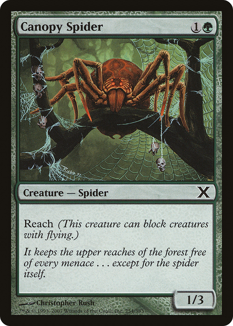 Canopy Spider (10E-254) [Tenth Edition] MTG Single Wizards of the Coast