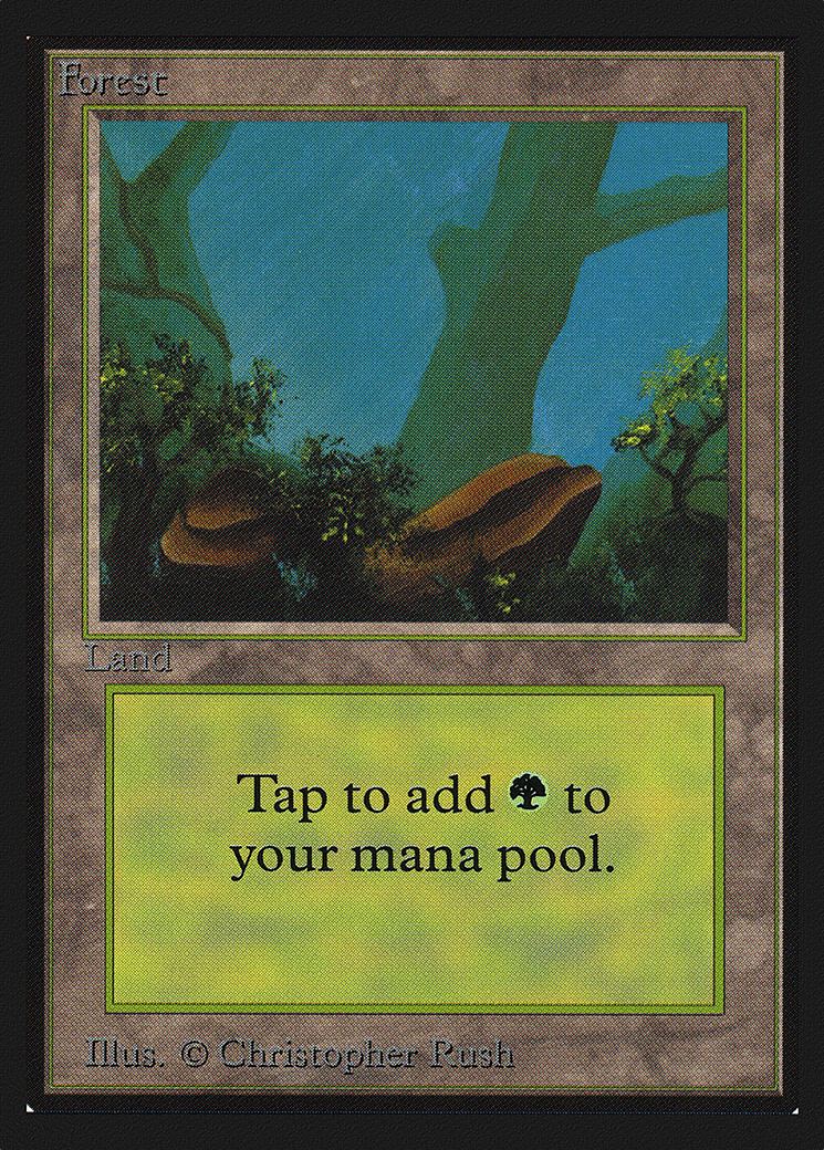 Forest (CED-300) [Collectors' Edition] MTG Single Wizards of the Coast