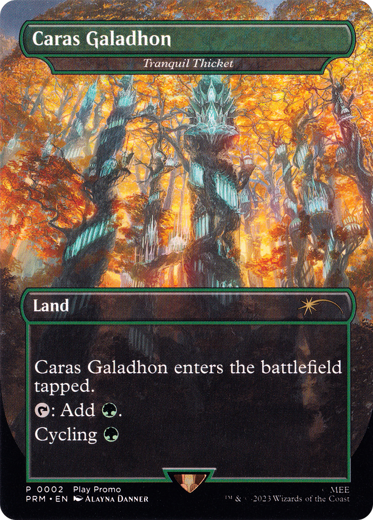 Tranquil Thicket (PLAY-002) [Misc] MagicFest 2023 (Borderless) MTG Single Wizards of the Coast