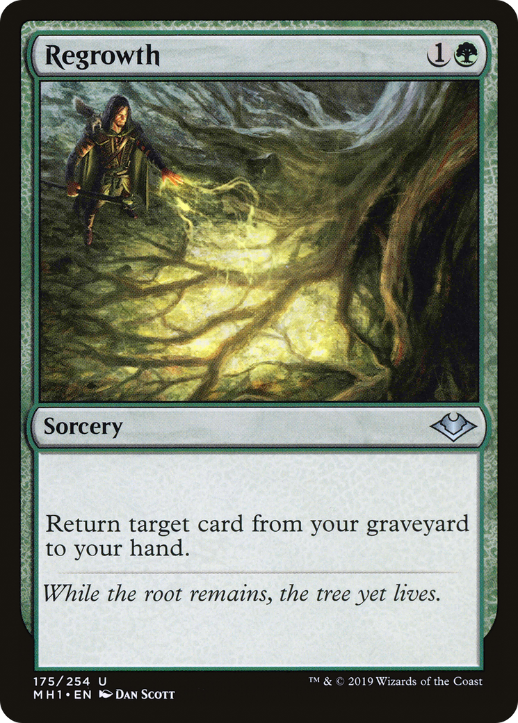 Regrowth (MH1-175) [Modern Horizons] Foil MTG Single Modern Horizons