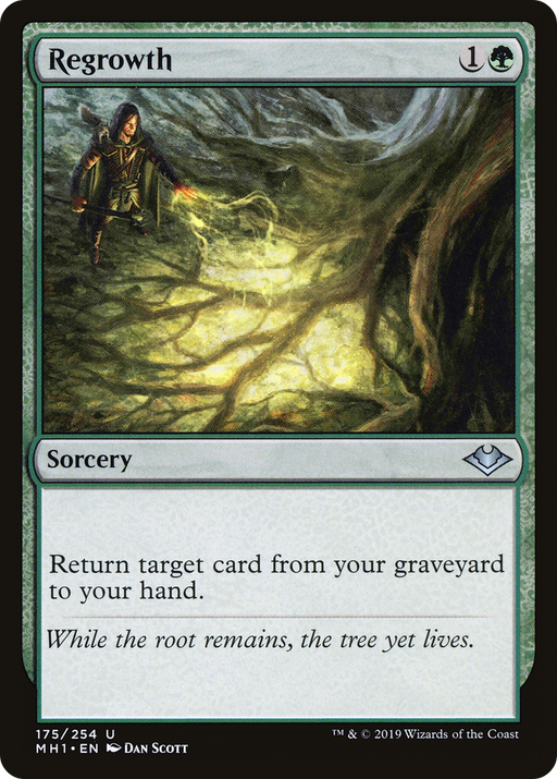 Regrowth (MH1-175) [Modern Horizons] Foil MTG Single Modern Horizons